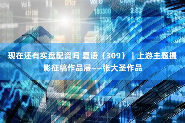 现在还有实盘配资吗 夏语（309）｜上游主题摄影征稿作品展——张大圣作品